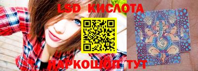 стафф Кандалакша