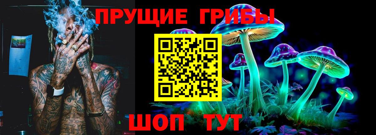 Карпинск  Псилоцибиновые грибы мицелий  Псилоцибиновые грибы GOLDEN TEACHER  Вход с VPN 